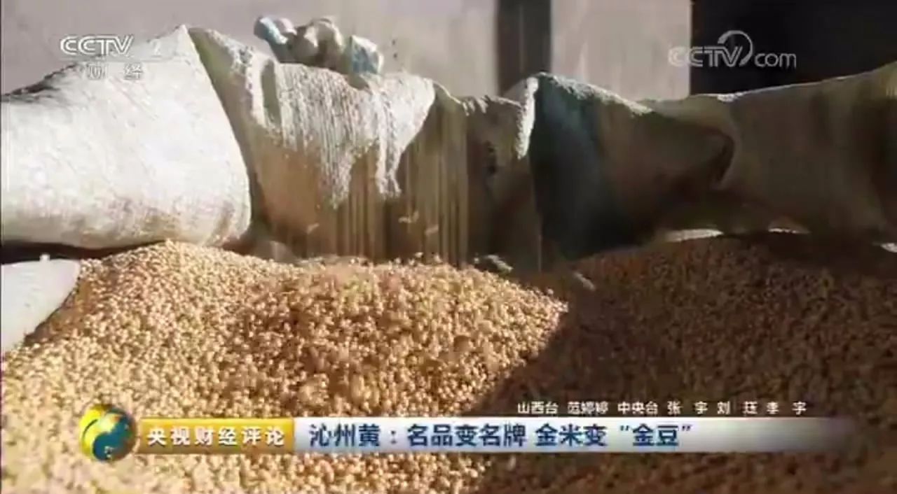 中央電視臺?走進沁州牌沁州黃小米，“金豆子”如何煉成？