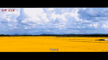微信圖片_20171229132517.gif