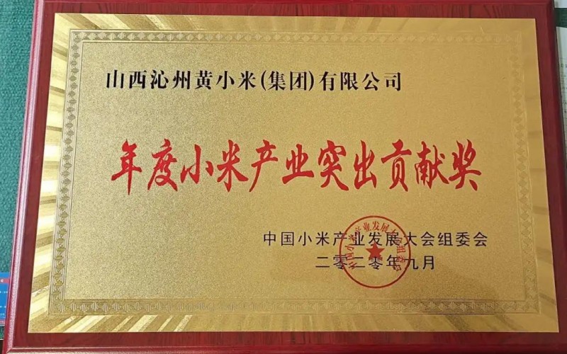 山西沁州黃小米集團(tuán)被評(píng)為“年度小米產(chǎn)業(yè)突出貢獻(xiàn)獎(jiǎng)”等榮譽(yù)稱號(hào)
